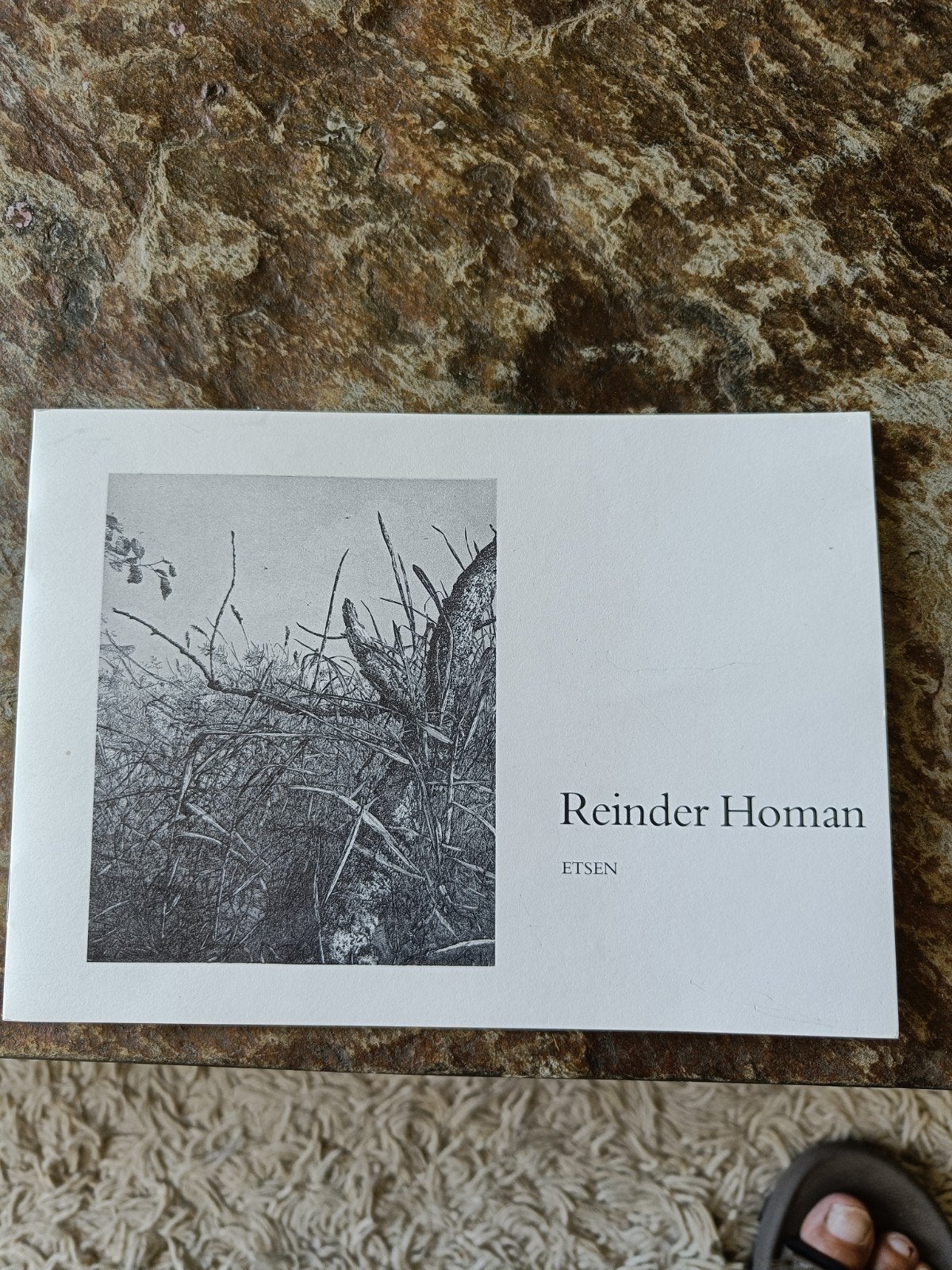 Reinder Homan Etsen - Claes Catalogus nr. 1 (1983), Ophalen of Verzenden, Origineel, Flora en Fauna, 1950 - 1999