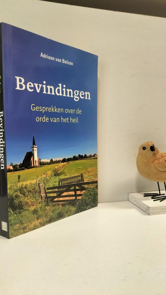 Belzen, Adriaan van; Bevindingen (over de orde van het heil), Ophalen of Verzenden, Gelezen, Christendom | Protestants