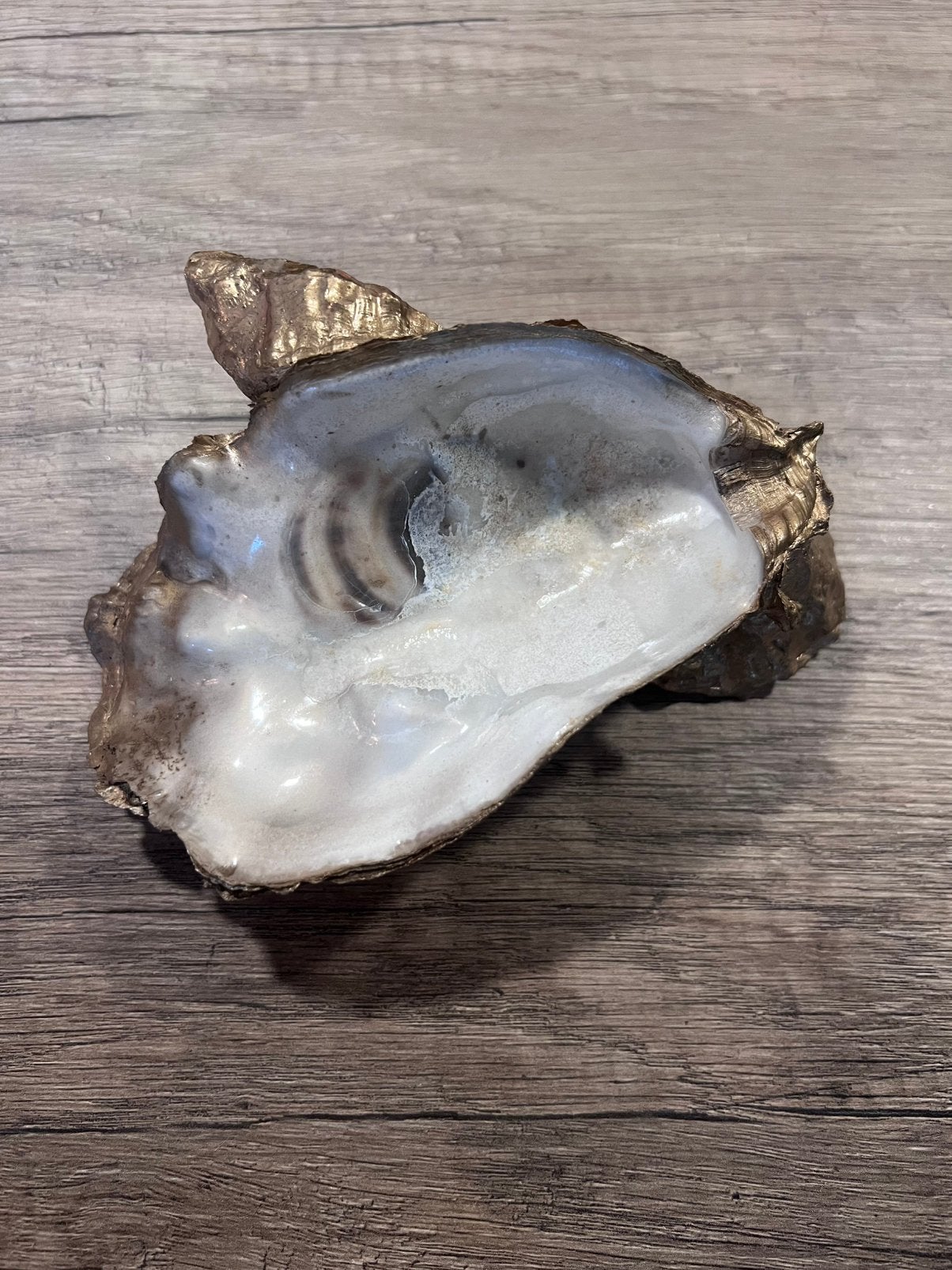 Oesterschelp schaaltje, Ophalen of Verzenden, Schelp(en)