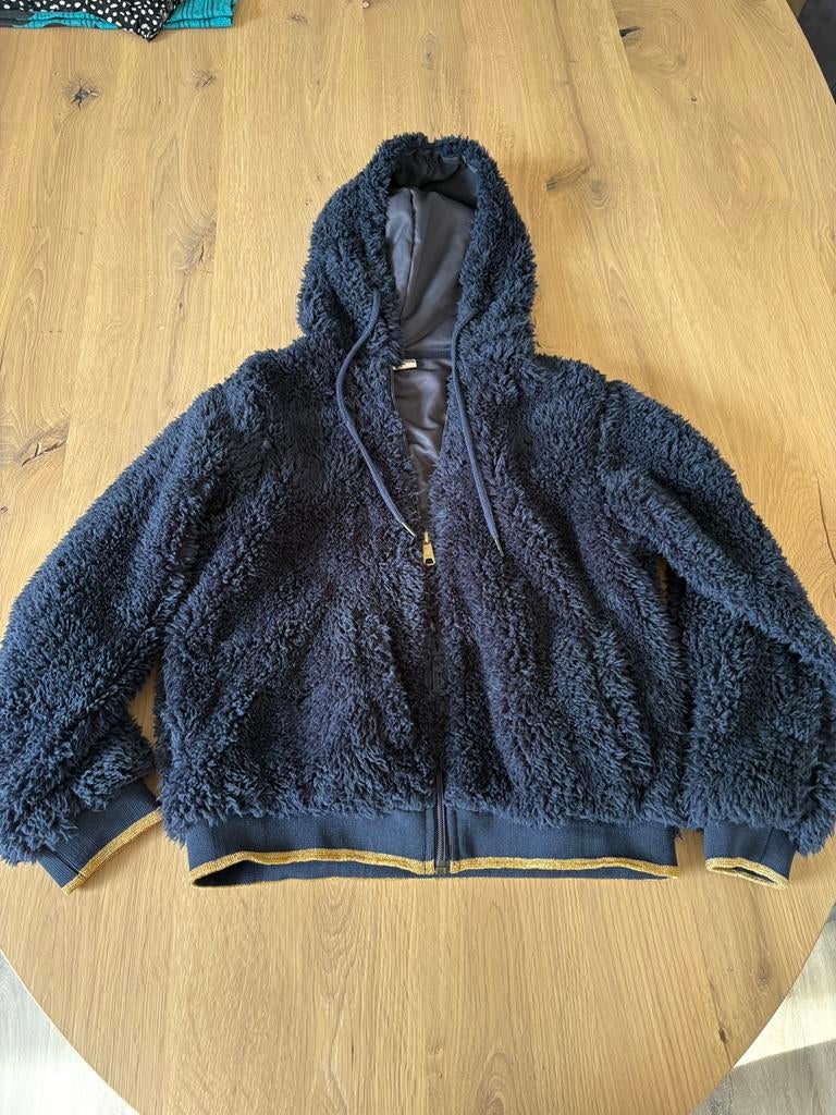 Te koop heerlijk vinrose vest maat 146-152, Ophalen of Verzenden, Zo goed als nieuw, Meisje, Trui of Vest