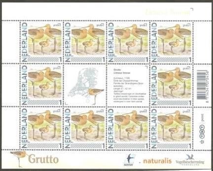 Vogels in Nederland Vel Grutto, Ophalen of Verzenden, Postfris