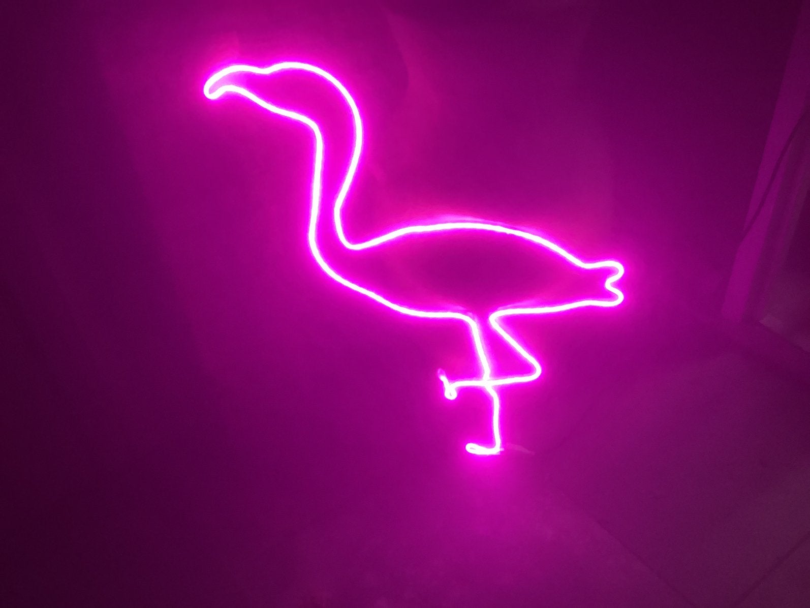 Rose Flaminco, Ophalen, Zo goed als nieuw