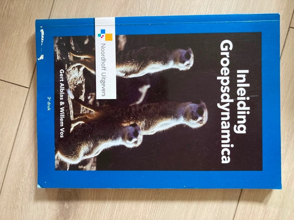 Inleiding Groepsdynamica - Gert Alblas & Willem Vos, Gert Alblas & Willem Vos, Zo goed als nieuw, Gamma, HBO