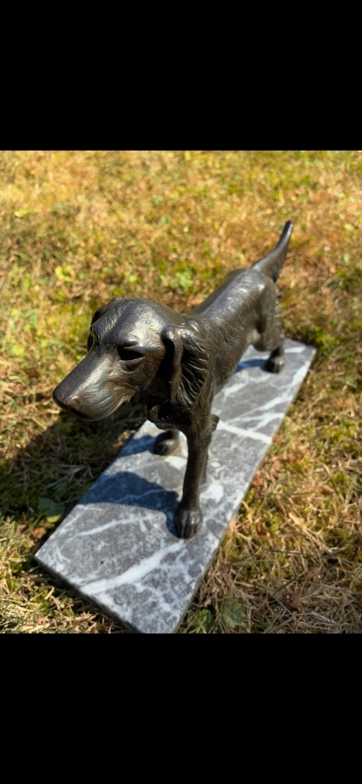 Brons koper hondenbeeld (setter) op marmeren sokkel, Ophalen of Verzenden, Zoogdier, Op sokkel, Beeld