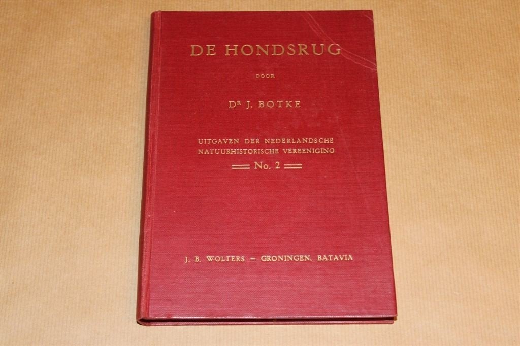 De Hondsrug - Dr. J. Botke - 1928, Ophalen of Verzenden, Zo goed als nieuw