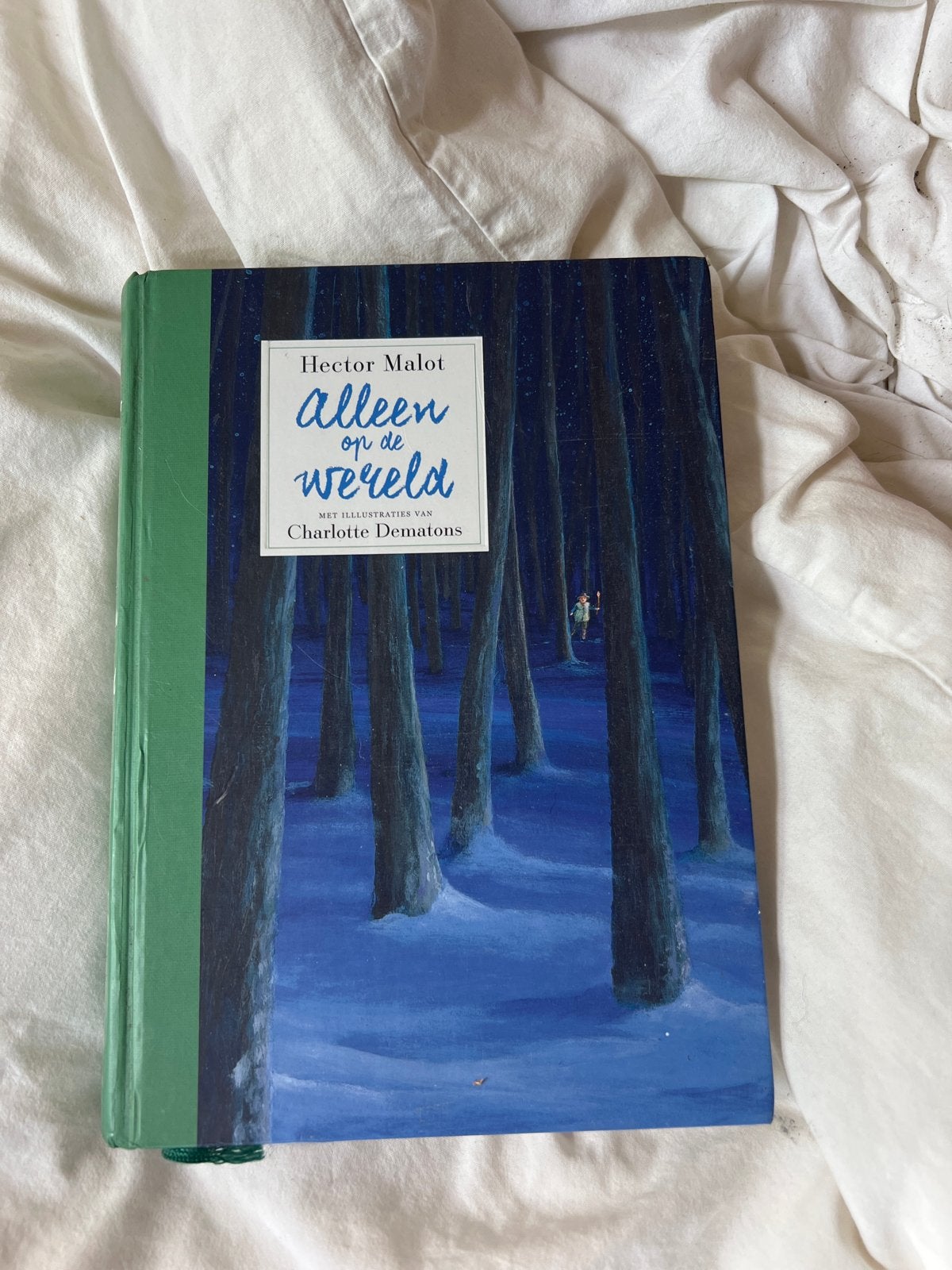 Alleen op de wereld - Hector Malot (geïllustreerd), Ophalen of Verzenden, Zo goed als nieuw, Fictie algemeen