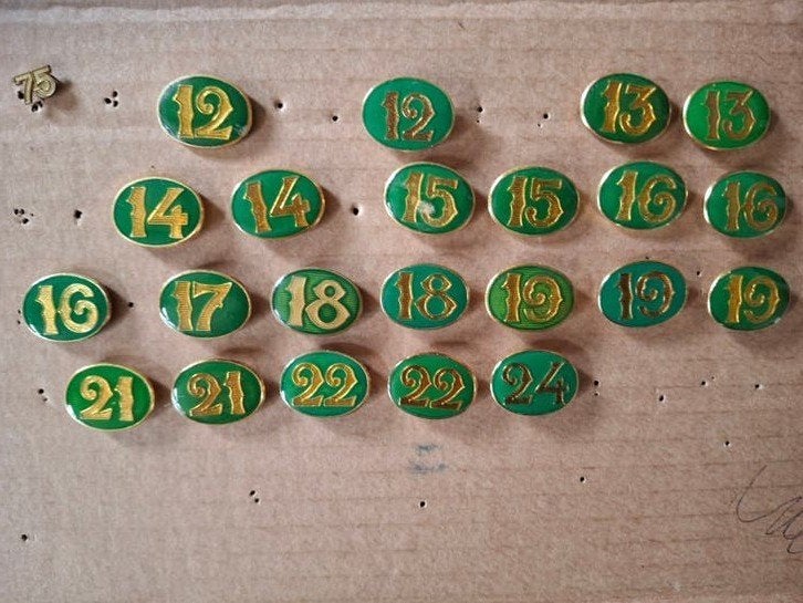 Vierdaagse cijfers, Ophalen of Verzenden, Landmacht, Nederland, Embleem of Badge