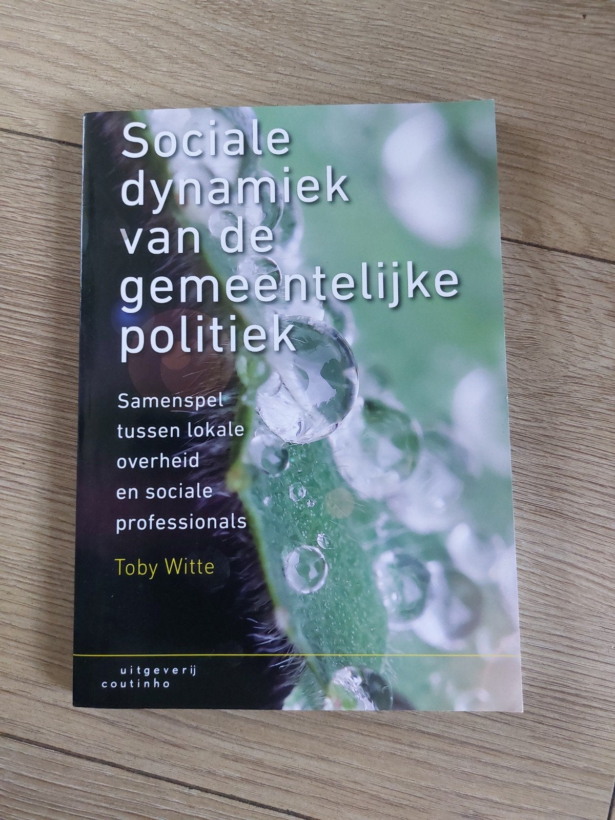 Sociale dynamiek van de gemeentelijke politiek, Boeken, Zo goed als nieuw, Gamma, Toby Witte, HBO
