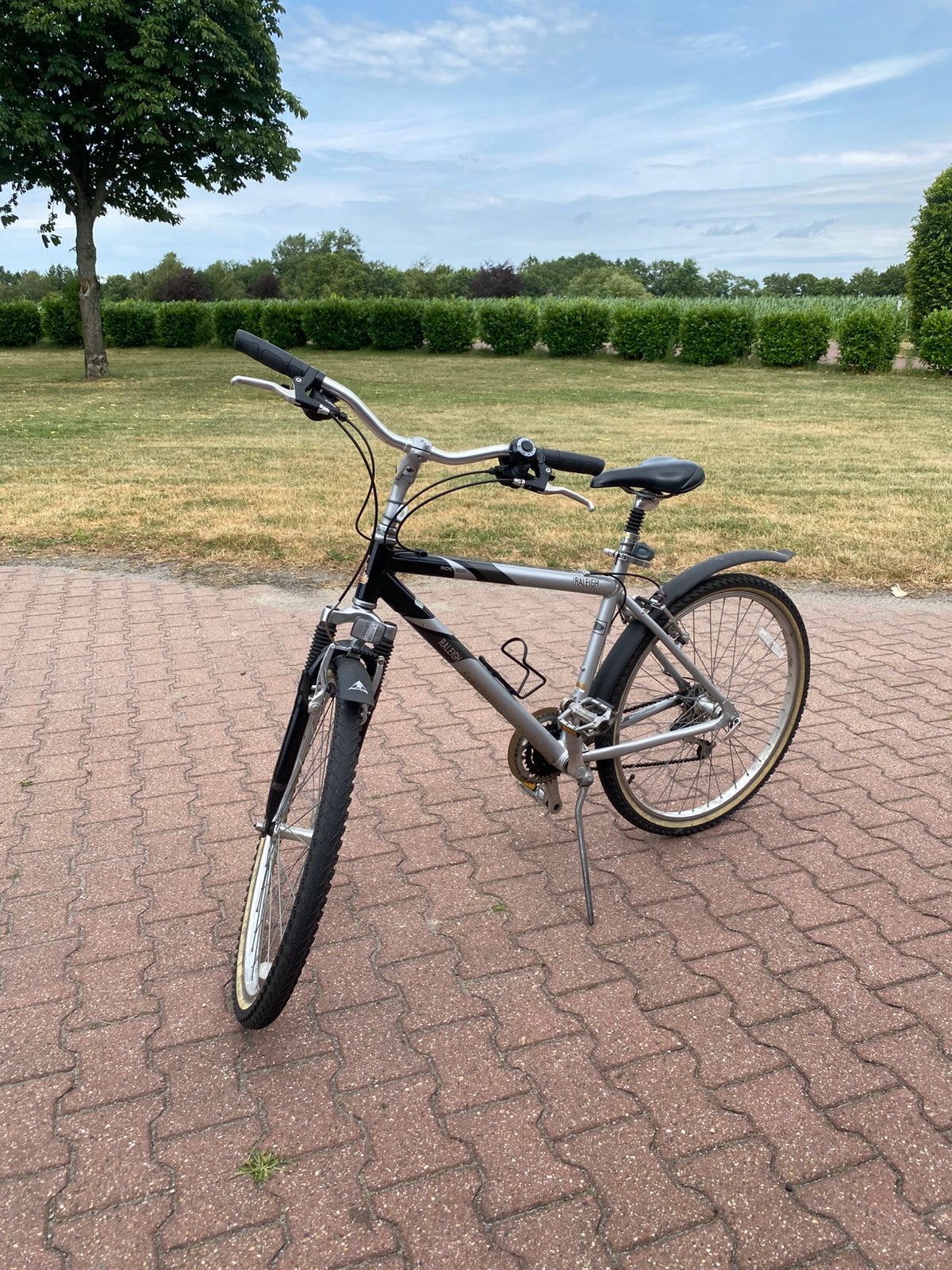 Releigh bob mountainbike, Gebruikt, Versnellingen, Schijfrem, Ophalen