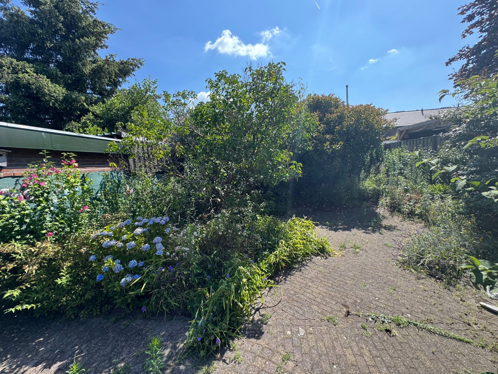Tuinman