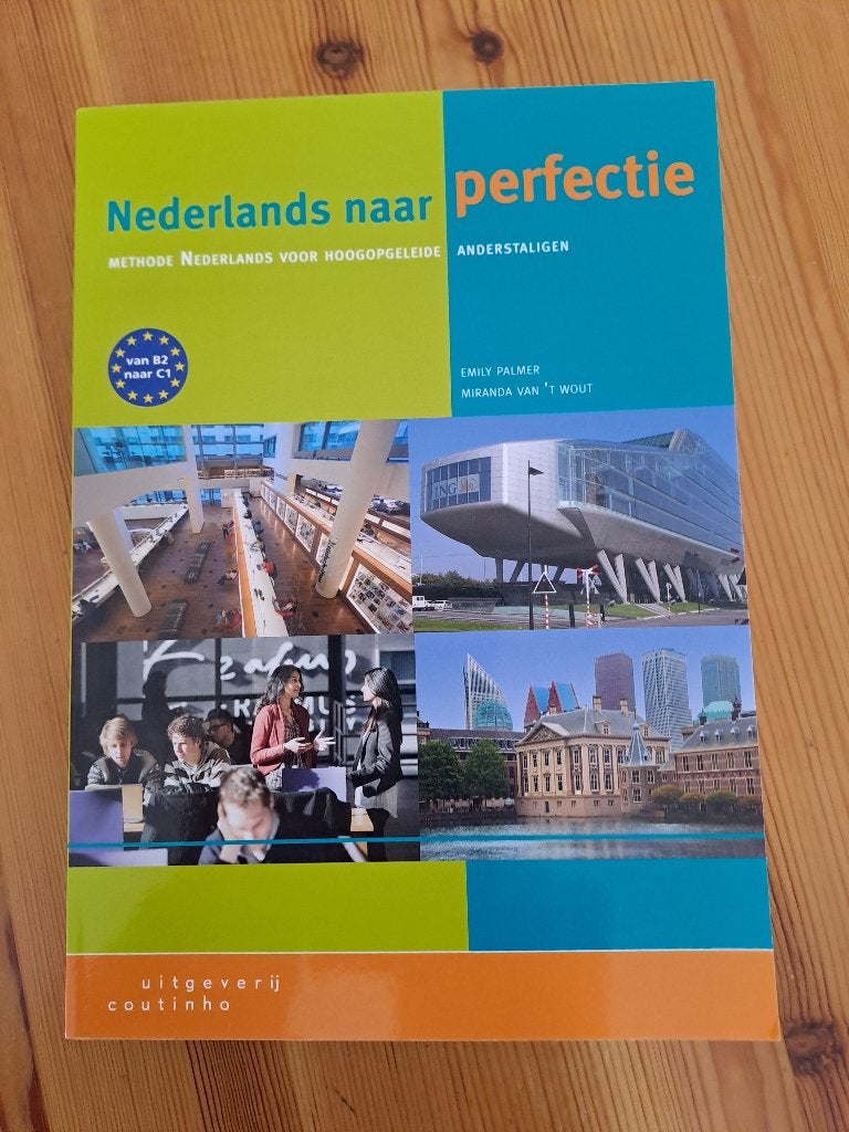 Nt2 boek: Nederlands naar perfectie, Ophalen of Verzenden, Alpha, Zo goed als nieuw