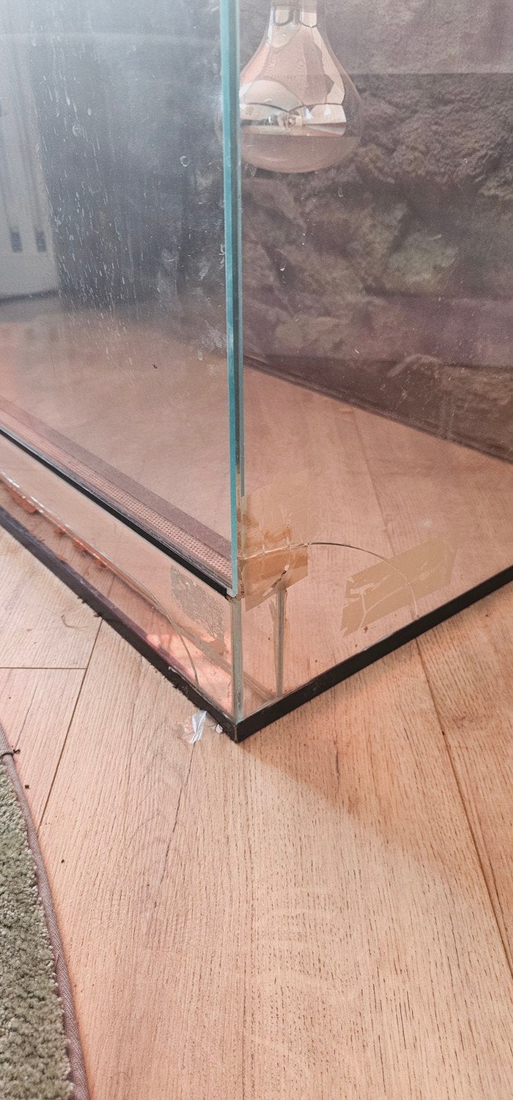 Terrarium, Ophalen