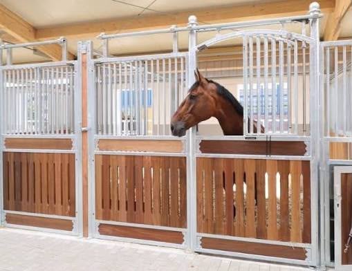 Gezocht: stalling voor 6 paarden  Amersfoort, max. 20 km), Stalling, 4 paarden of pony's of meer