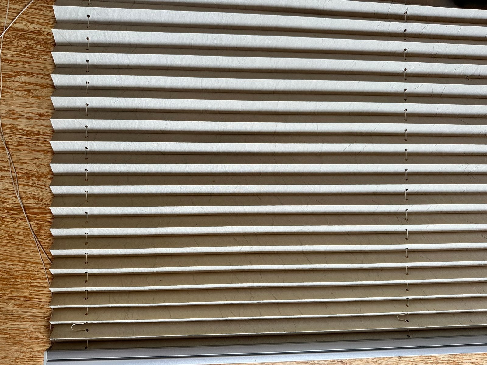 Sunway Plisségordijn - Beige/Crème, Gebruikt, Overige merken, Beige, Ophalen of Verzenden