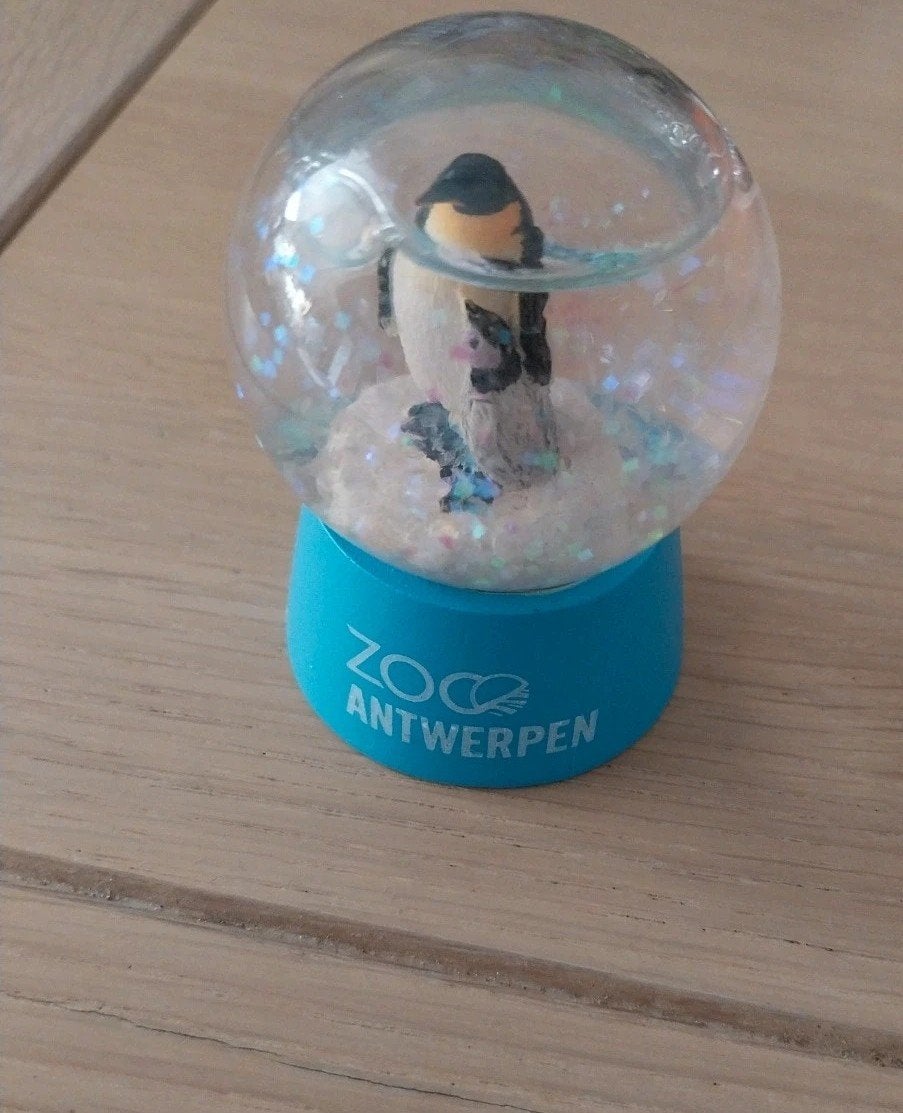 sneeuwbol, Ophalen of Verzenden, Zo goed als nieuw