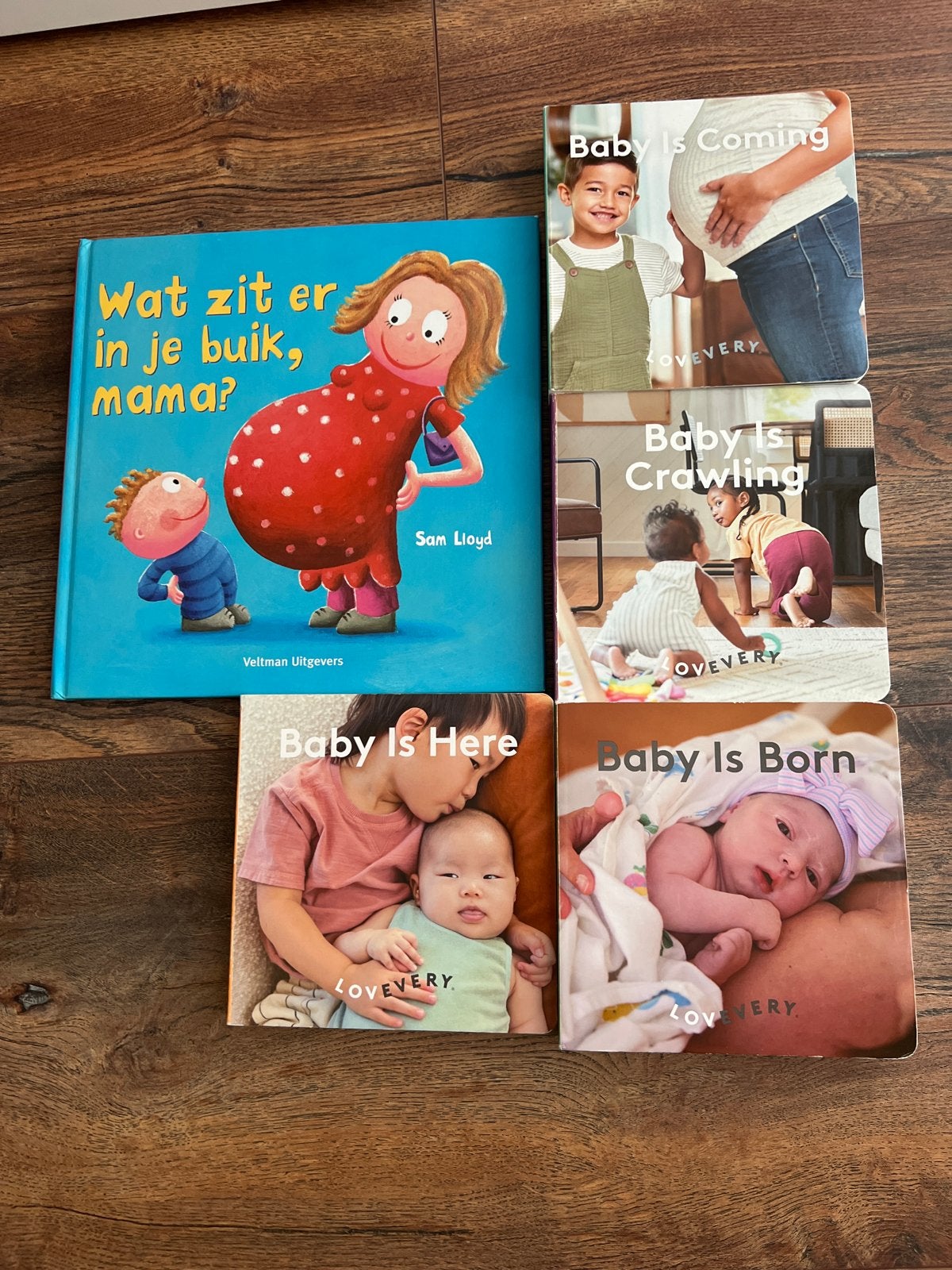 Lovevery New Sibling Book Bundle- Baby, Ophalen of Verzenden, Zo goed als nieuw