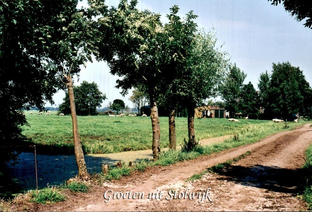 Stolwijk - Weiland - Weg met schapen, Ophalen of Verzenden, 1960 tot 1980, Ongelopen, Zuid-Holland