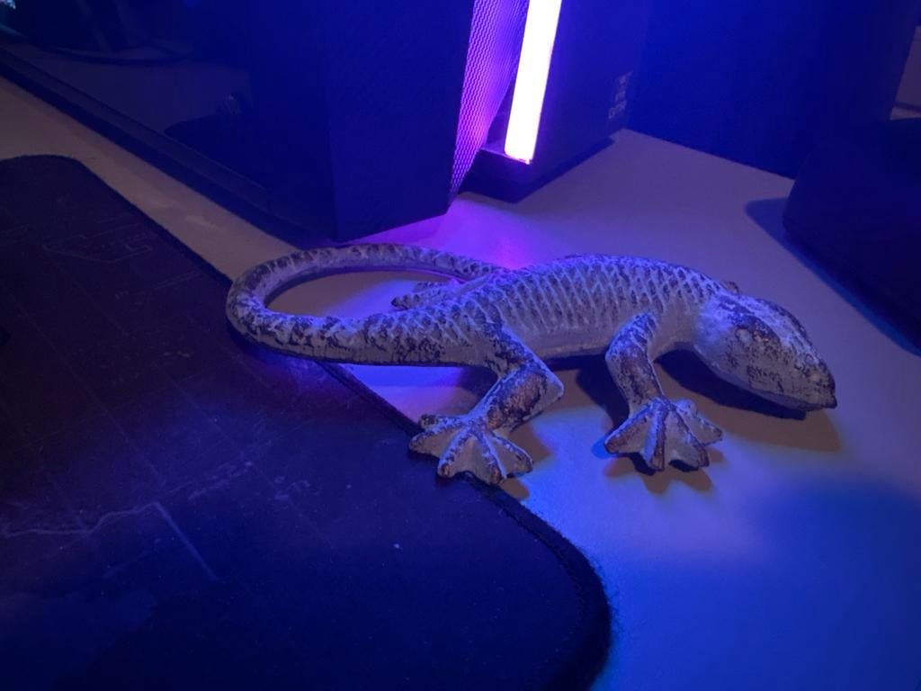 Salamander beeldje, Verzamelen, Ophalen of Verzenden, Gebruikt, Dier