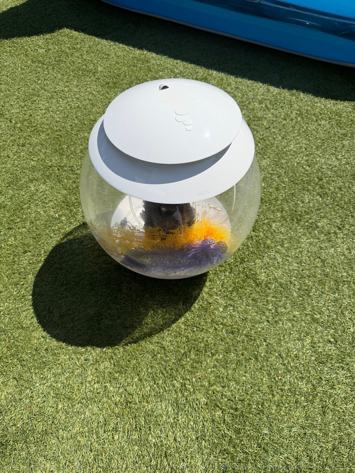 biOrb HALO 30 Aquarium – 30L – Wit LED, Ophalen of Verzenden, Zo goed als nieuw, Leeg aquarium