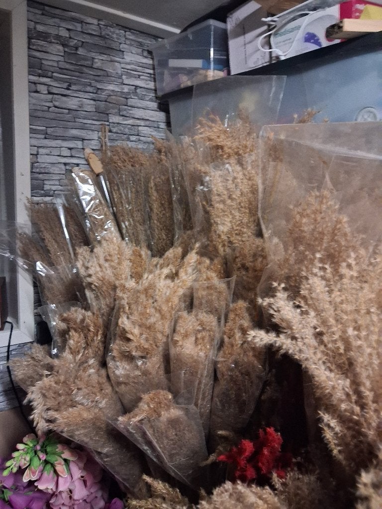 Grote partij pluimen en droogbloemen - 10 kleuren, Ophalen, Binnen, Meerkleurig, Nieuw