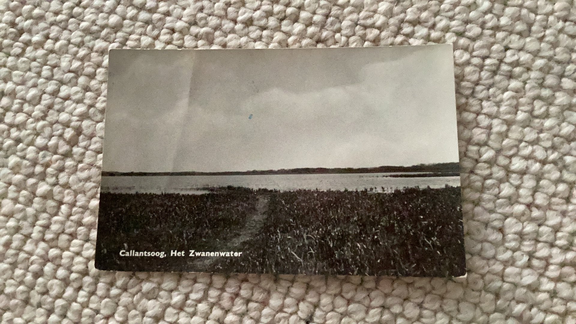 Ansichtkaart Callantsoog Het Zwanenwater 1963. 982, Verzamelen, Ansichtkaarten | Nederland, Ophalen of Verzenden, 1960 tot 1980