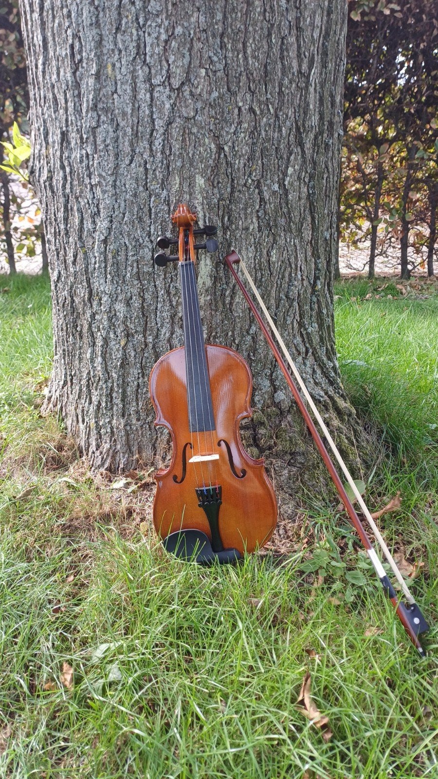 Kinderviool (1/2 maat) Scarlatti, Gebruikt, 1/2-viool, Viool, Ophalen of Verzenden