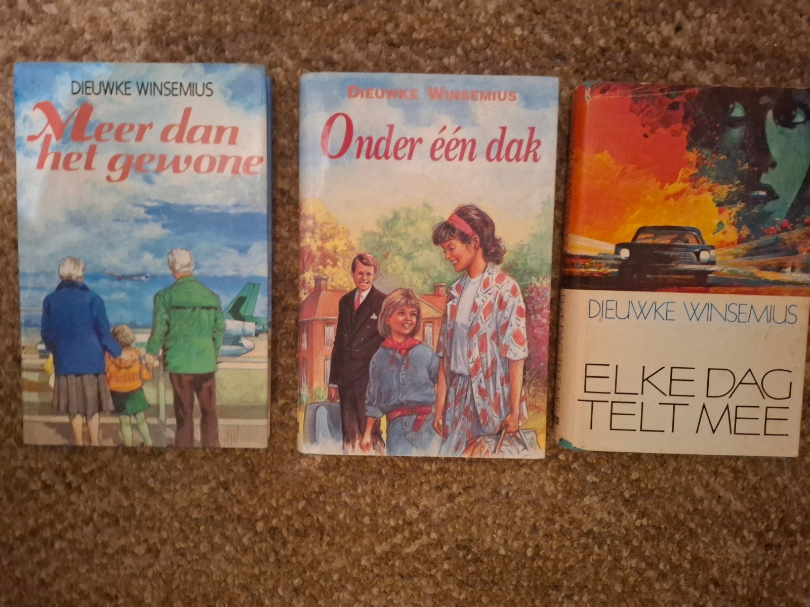 Drie boeken van Dieuwke Winsemius, Boeken, Ophalen of Verzenden, Gelezen, Dieuwke Winsemius, Nederland