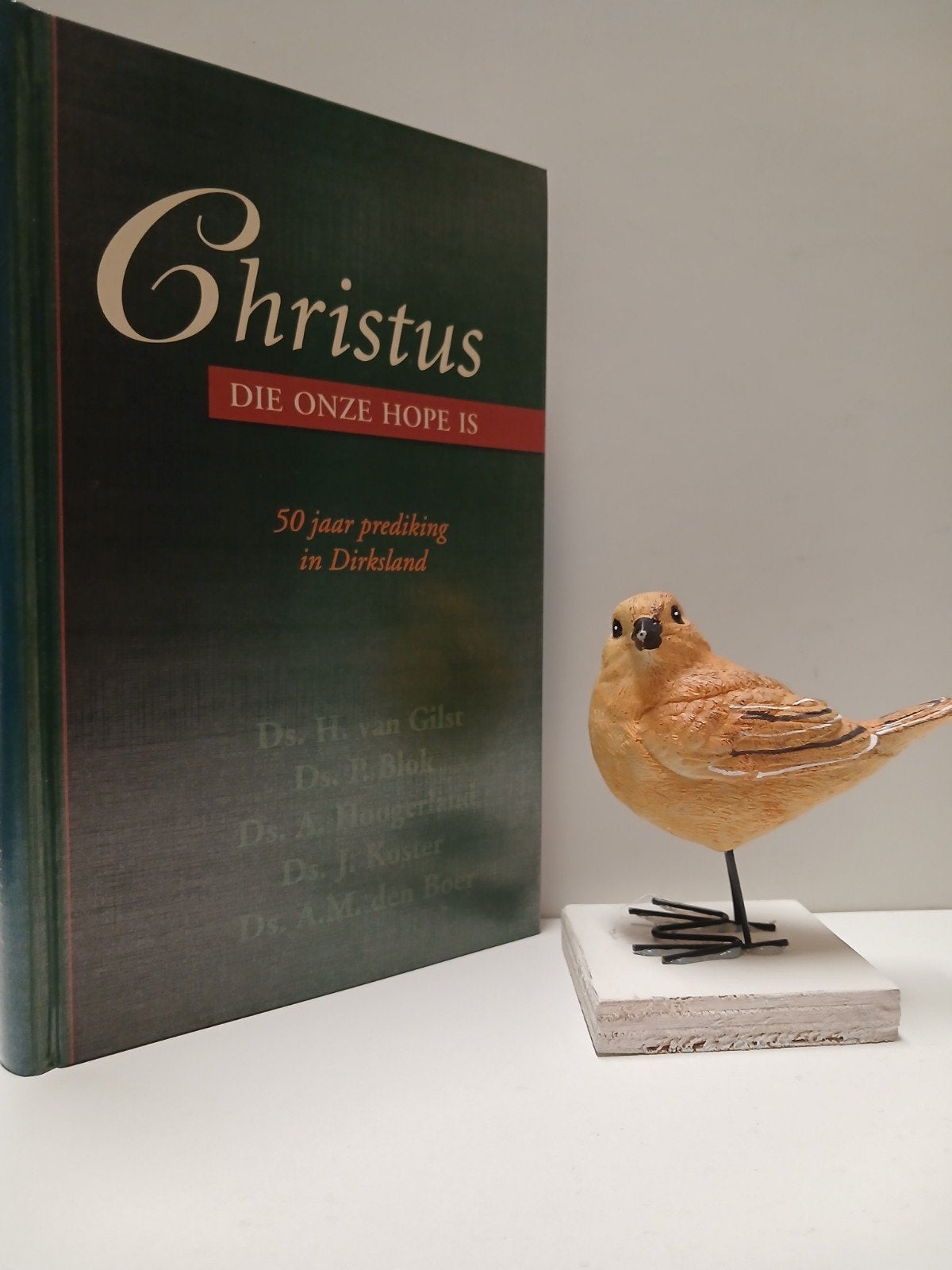 Gilst, Ds. H. van e.a.; Christus Die onze Hope is, Ophalen of Verzenden, Gelezen, Christendom | Protestants