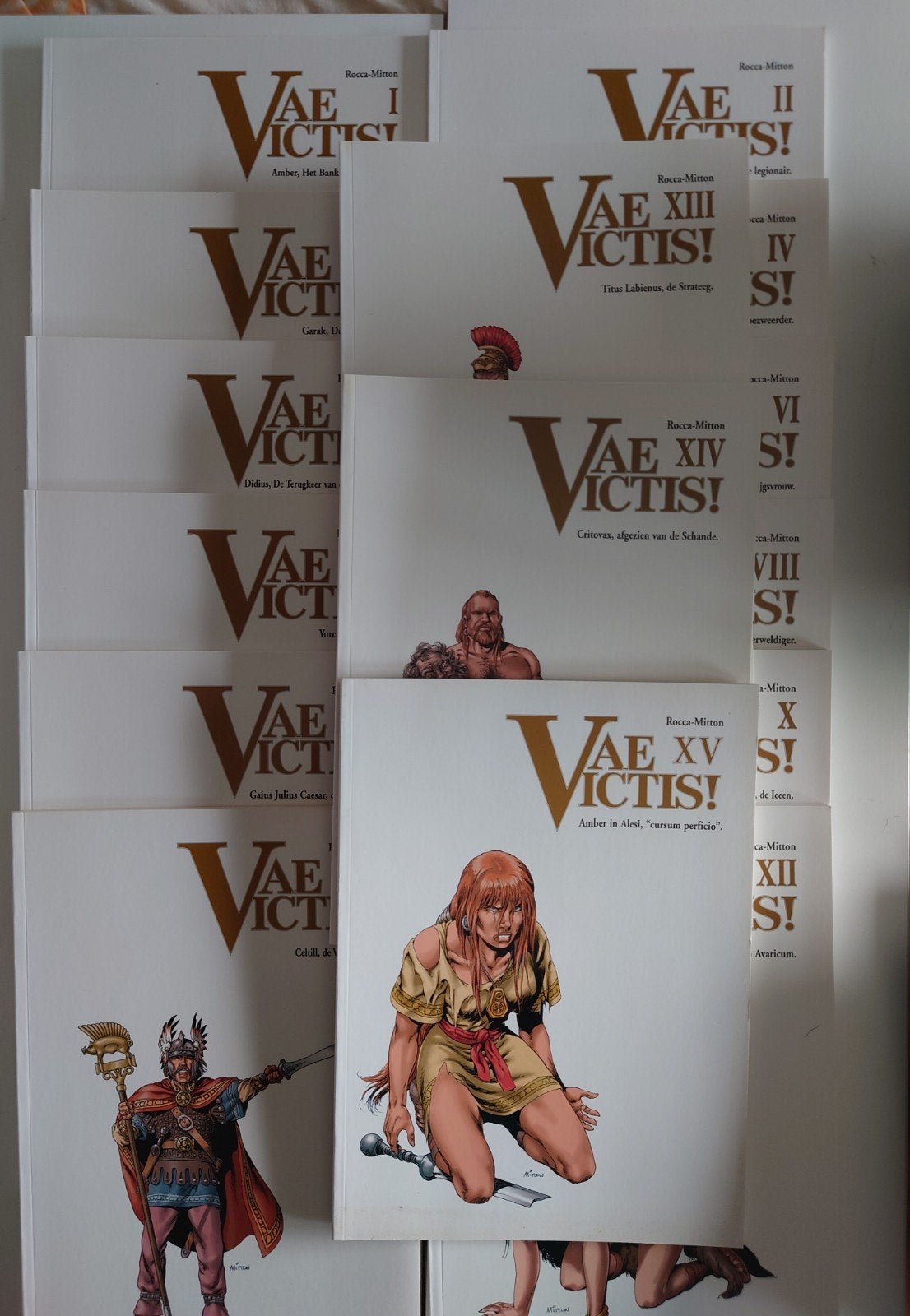 Vae Victis! Deel 1 t/m 15 sc. Complete stripboekenserie, Complete serie of reeks, Ophalen of Verzenden, Zo goed als nieuw, Rocca-Mitton