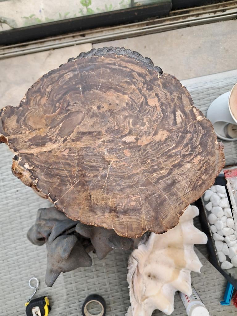 Aangeboden:Mooie plaat van versteend hout., Ophalen