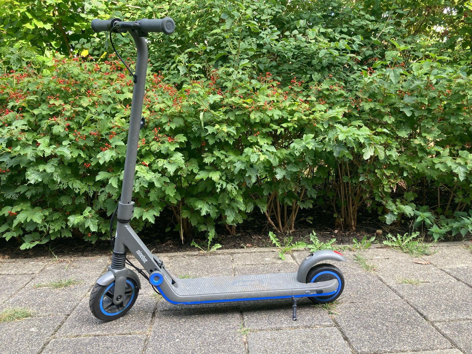 Elektrische step, Ninebot Zing E10, Ophalen of Verzenden, Gebruikt, Elektrische step (E-scooter)