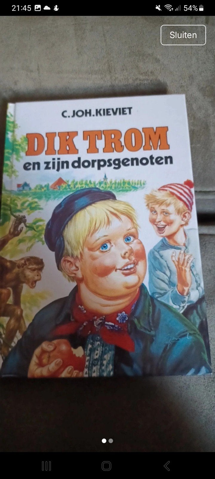 Kinderboek Dik Trom en zijn dorpsgenoten - C. Joh. Kieviet, Boeken, Ophalen of Verzenden