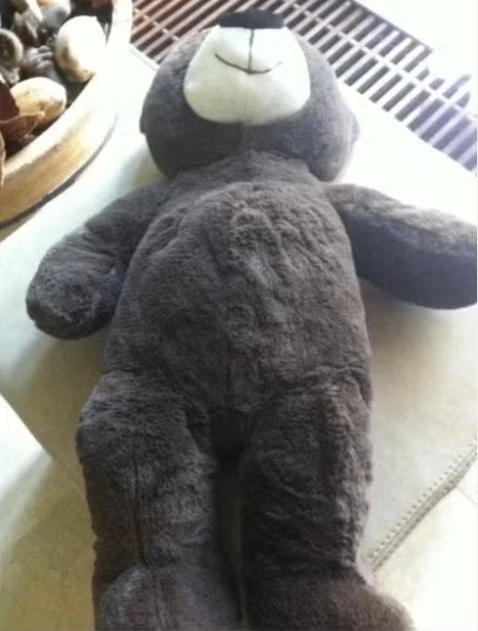 Knuffelbeer bruin lengte 60 cm Miro Moo, Beer, Ophalen of Verzenden, Zo goed als nieuw, Middelgroot (20 tot 80 cm)