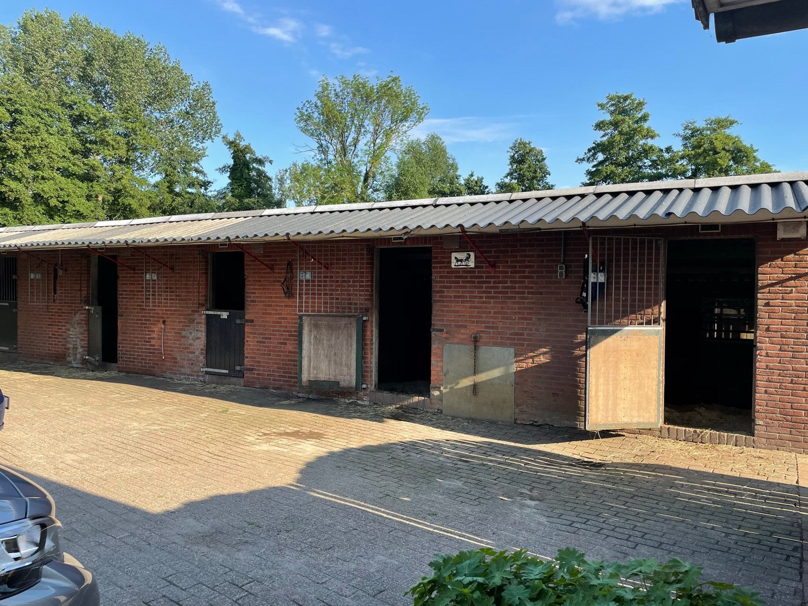 Stalling en weidegang, Dieren en Toebehoren, Stalling en Weidegang, Stalling