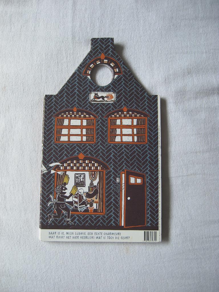 Floor Rieder - BW geschenk 2016 Waar is Ludwig (de kat)?, Ophalen of Verzenden, Zo goed als nieuw, Floor Rieder