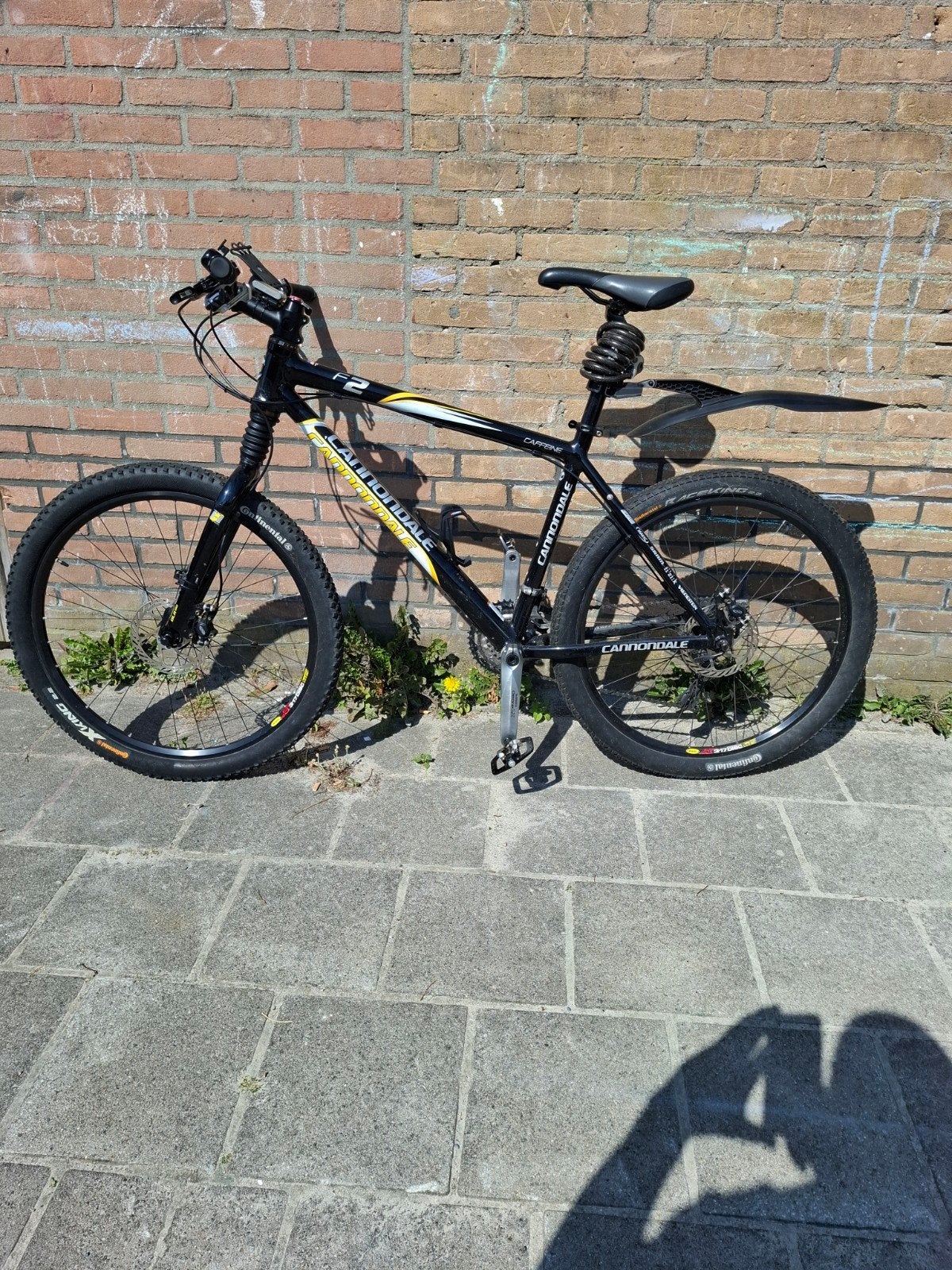 Cannondale Mountainbike, Ophalen