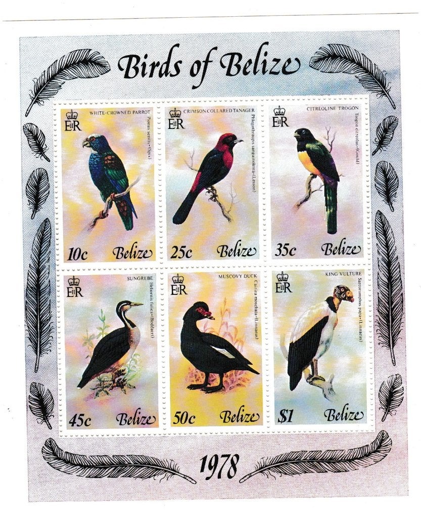 B 4 - blokje vogels 1978 van Belize € 5,00, Ophalen of Verzenden, Postfris, Noord-Amerika