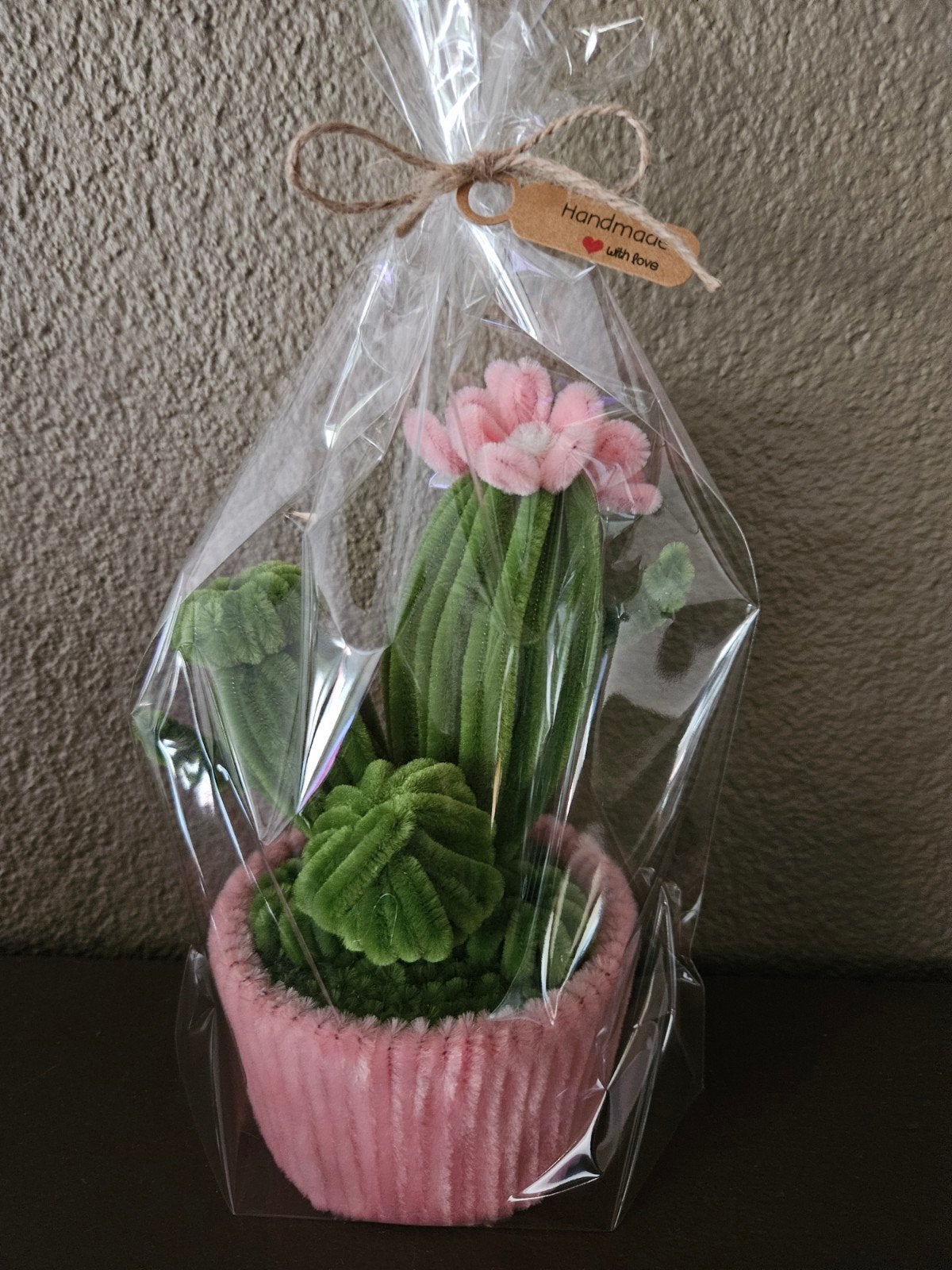 Handgemaakt bloempotje met cactus - Leuk cadeau!, Ophalen of Verzenden, Nieuw