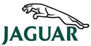 Jaguar WIS + JTiS Werkplaatsprogramma’s met alle type info, Auto diversen, Handleidingen en Instructieboekjes, Verzenden