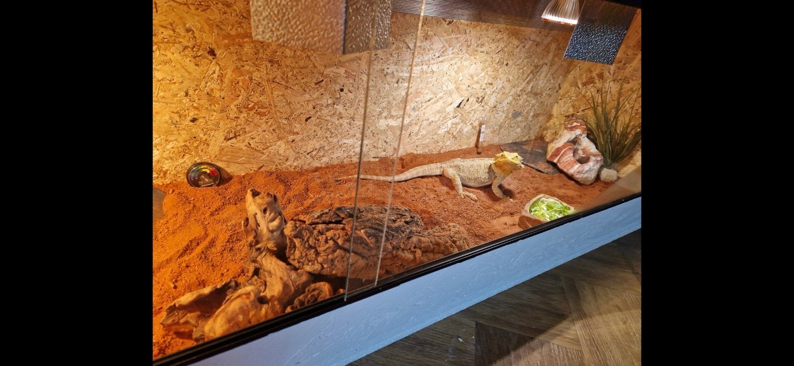 Terrarium/tv kast, Dieren en Toebehoren, Ophalen