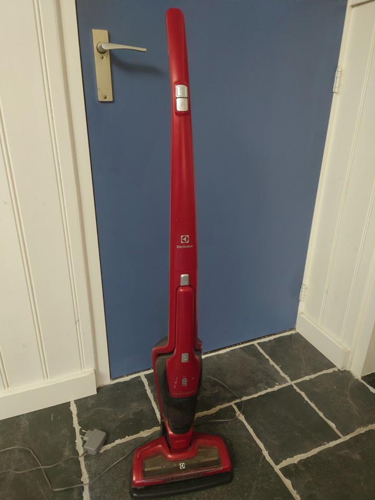Electrolux ErgoRapido Animal steelstofzuiger, nette staat!, Witgoed en Apparatuur, Stofzuigers, Ophalen, Overige merken, Gebruikt