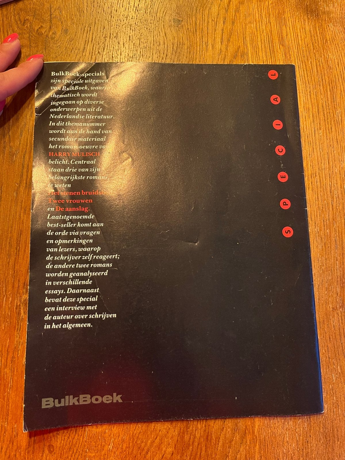 BulkBoek Special: Harry Mulisch - Het stenen bruidsbed, Boeken, Ophalen of Verzenden, Gelezen, Nederland