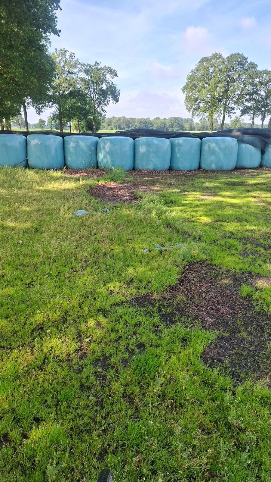 Te koop ronde hooi balen., Ophalen
