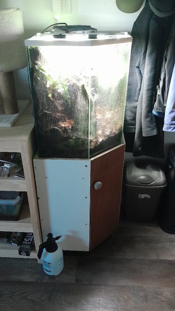 Vivarium met kast, Dieren en Toebehoren, Ophalen, Gebruikt, Overige typen