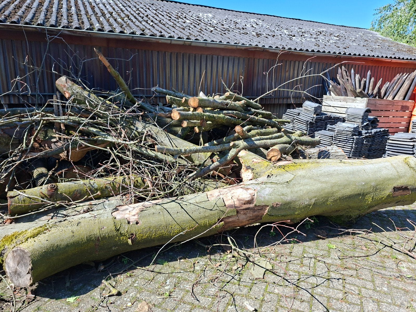 Beuken- en Eikenhout, ongekloofd - per m³ of hele partij, Tuin en Terras, Haardhout, Ophalen of Verzenden