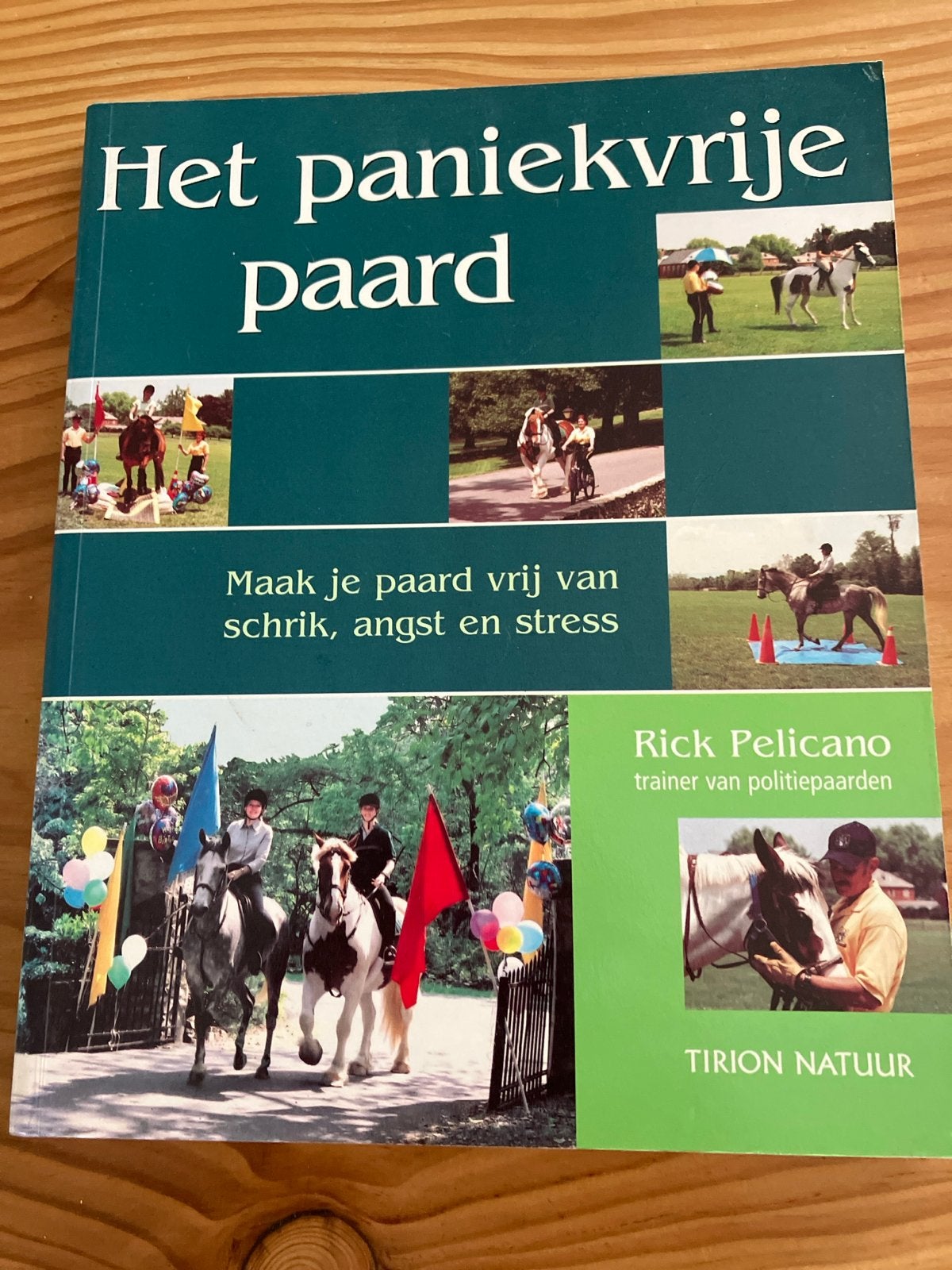 Het Paniekvrije Paard - Rick Pelicano, Boeken, Ophalen of Verzenden, Gelezen, Paarden of Pony's