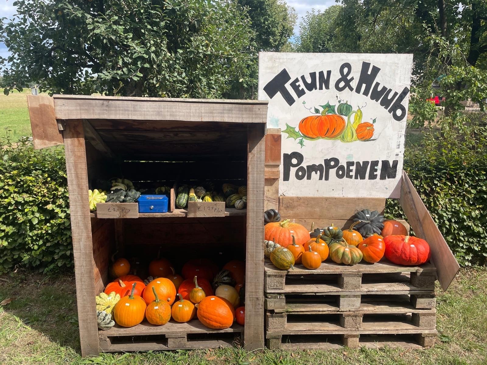 Verse pompoenen en kalebassen van Teun & Huub, Tuin en Terras, Overige Tuin en Terras, Ophalen of Verzenden