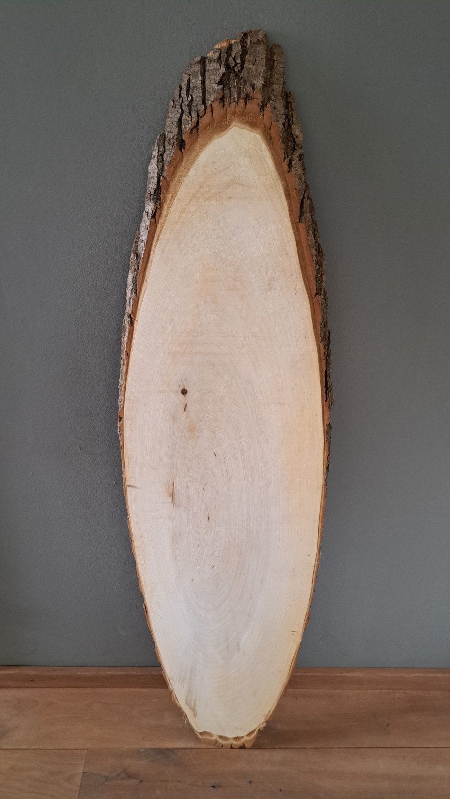 ❗GROTE OVALE BOOMSCHIJF VAN POPULIERHOUT 1.44 X 0.40 CM HOUT, Ophalen