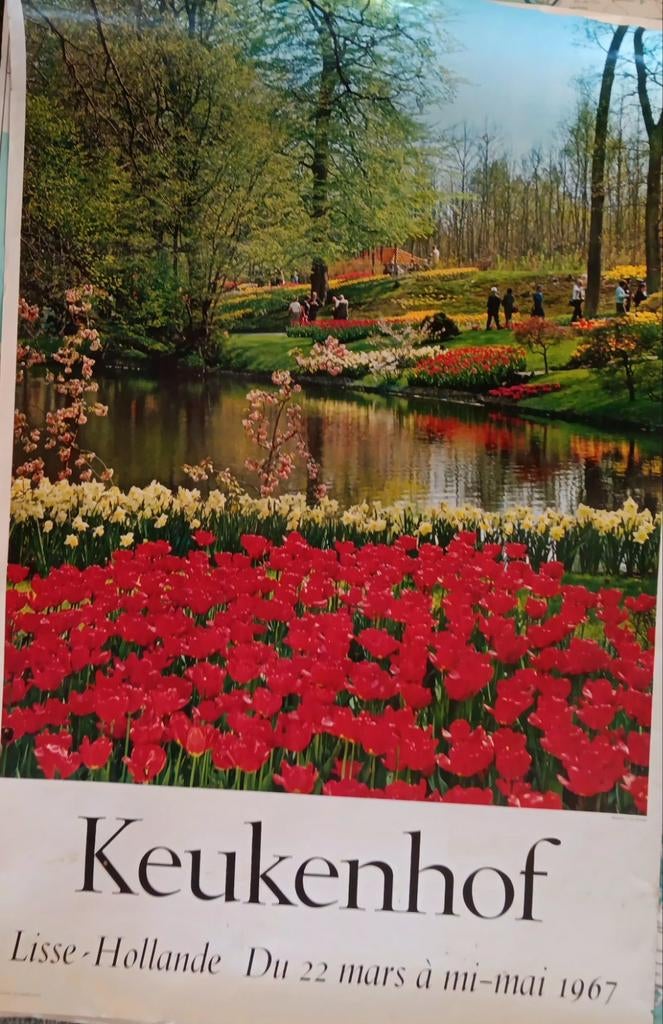Keukenhof ca.96x62, Ophalen of Verzenden, Gebruikt, A1 t/m A3, Film en Tv