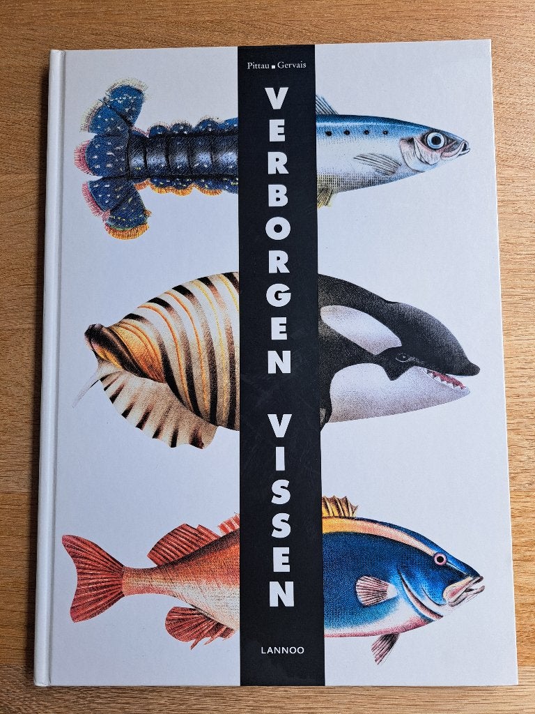 Verborgen vissen van Pittau en Gervais, Ophalen of Verzenden, Zo goed als nieuw, Pittau en Gervais, Prentenboek